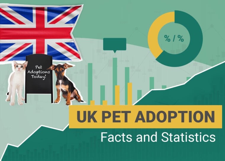UK Pet Adoption Facts and Statistics