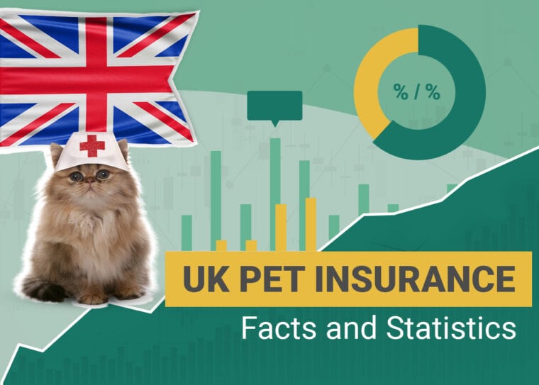 UK Pet insurance Facts and Statistics