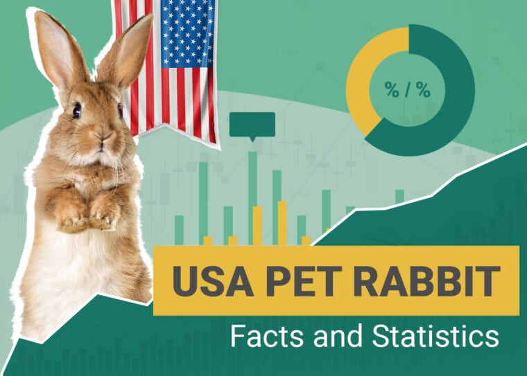 Pet Rabbit Statistics USA