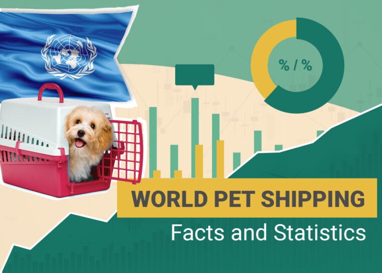 world pet shipping