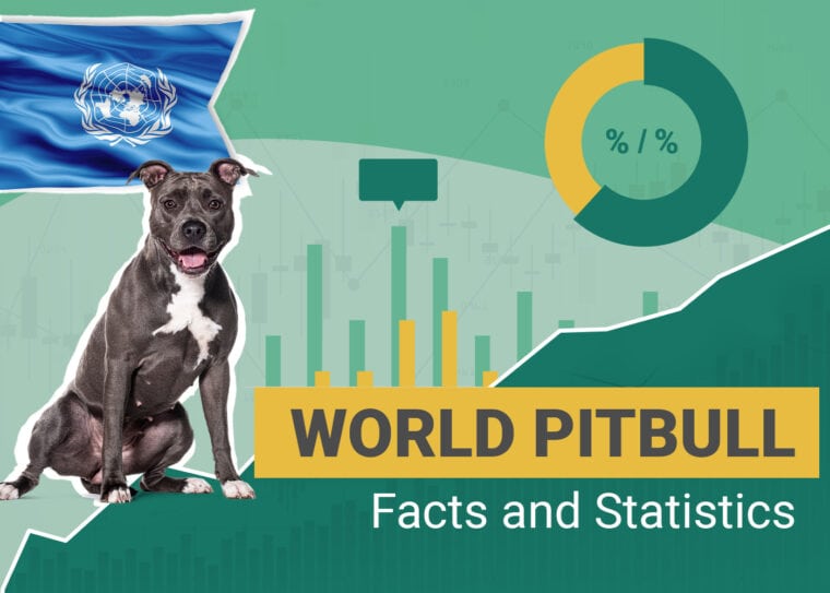 World Pitbull Facts and Statistics