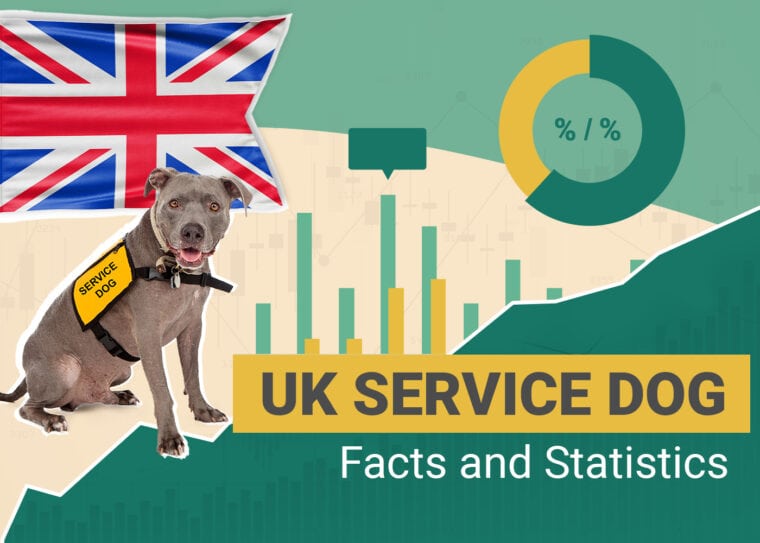 UK service dog Facts and Statistics