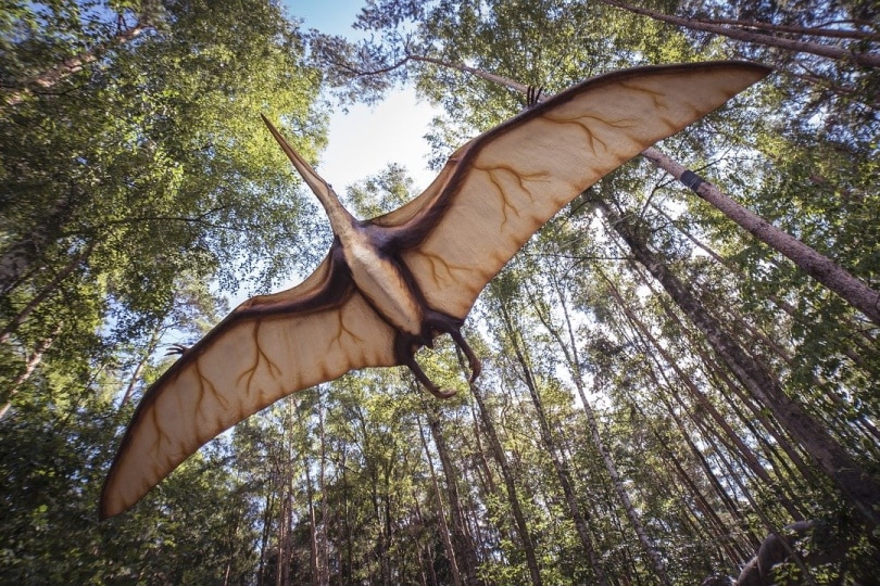 Pterosaur flying in the forest