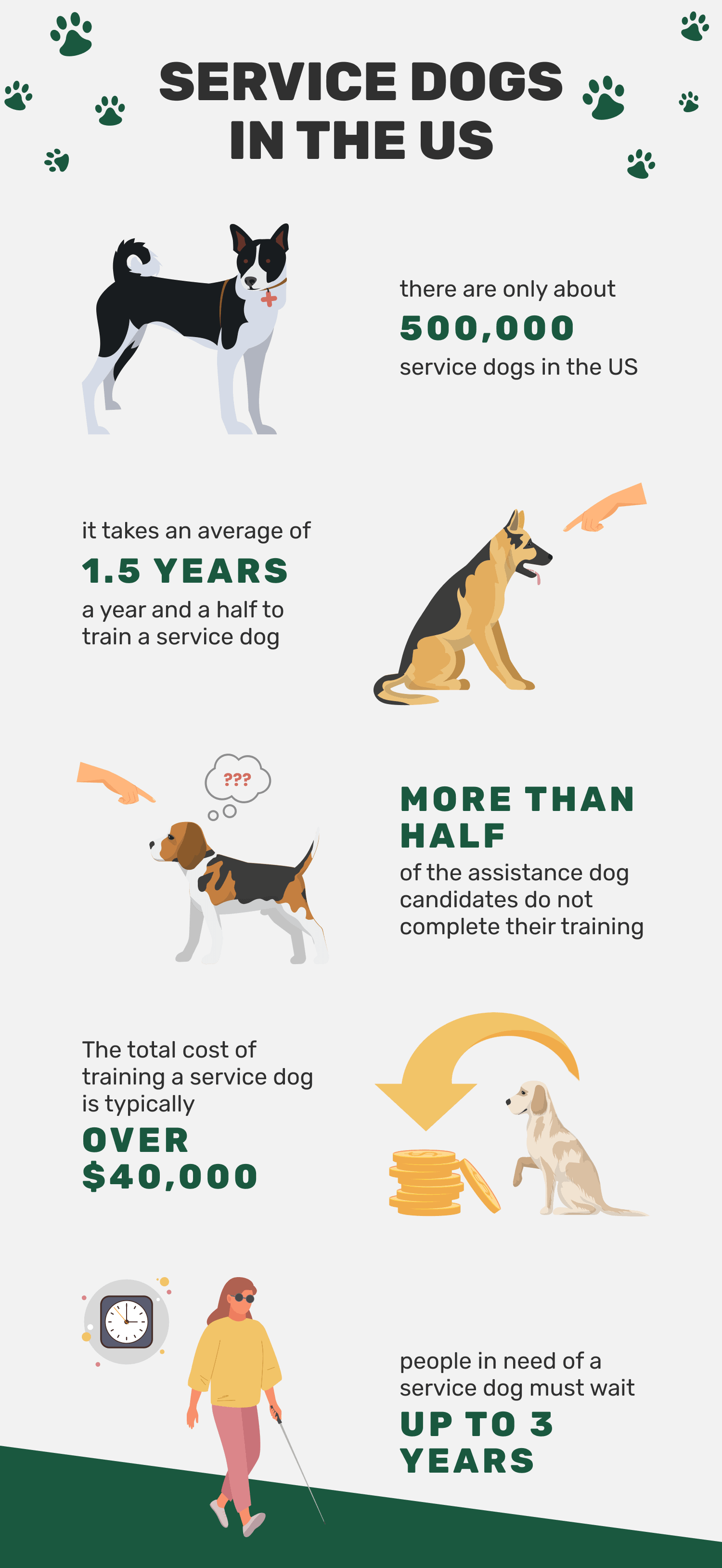 10 Remarkable Service Dog Statistics: What to Know in 2023 | Pet Keen