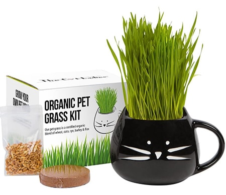 The Cat Ladies Organic Pet Grass Grow Kit