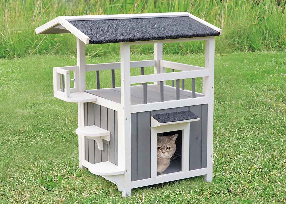 cat in a cat house at the garden