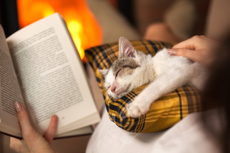 cat lover reading a book about cats
