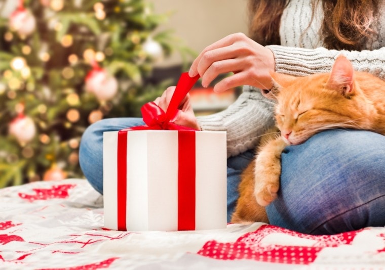 cat owner opening gifts
