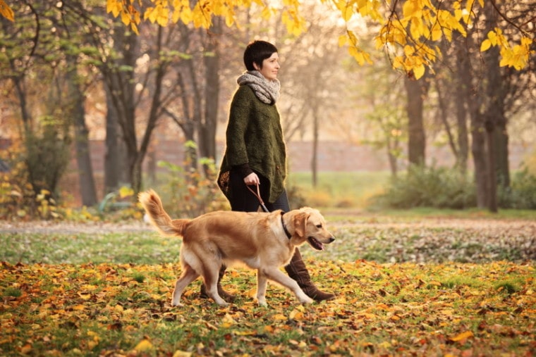 girl and her dog walking in the park