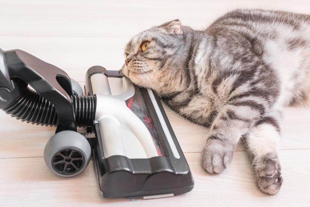 8 Best Vacuum Cleaners for Cat Hair in 2024 Reviews & Top Picks Pet