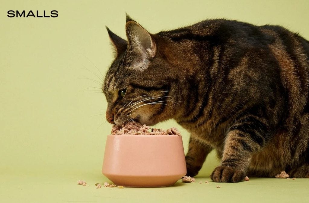 Smalls Cat Food Review 2022:voor- en nadelen