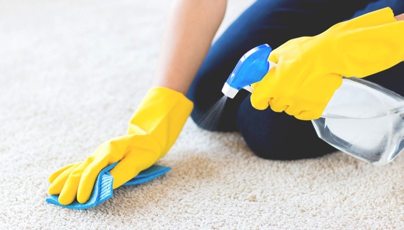 A person using an enzyme cleaner to remove dog urine from a carpet