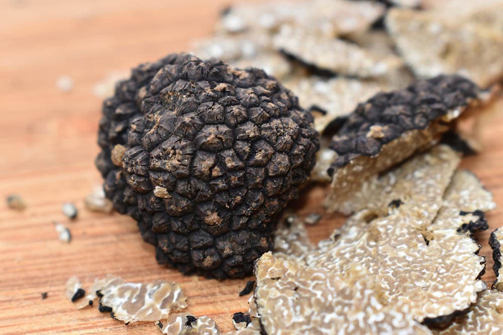 truffle mushroom up close