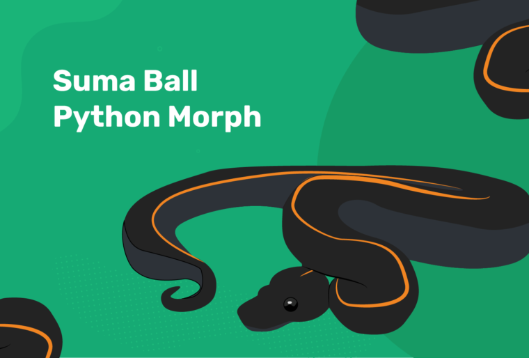 suma ball python morph