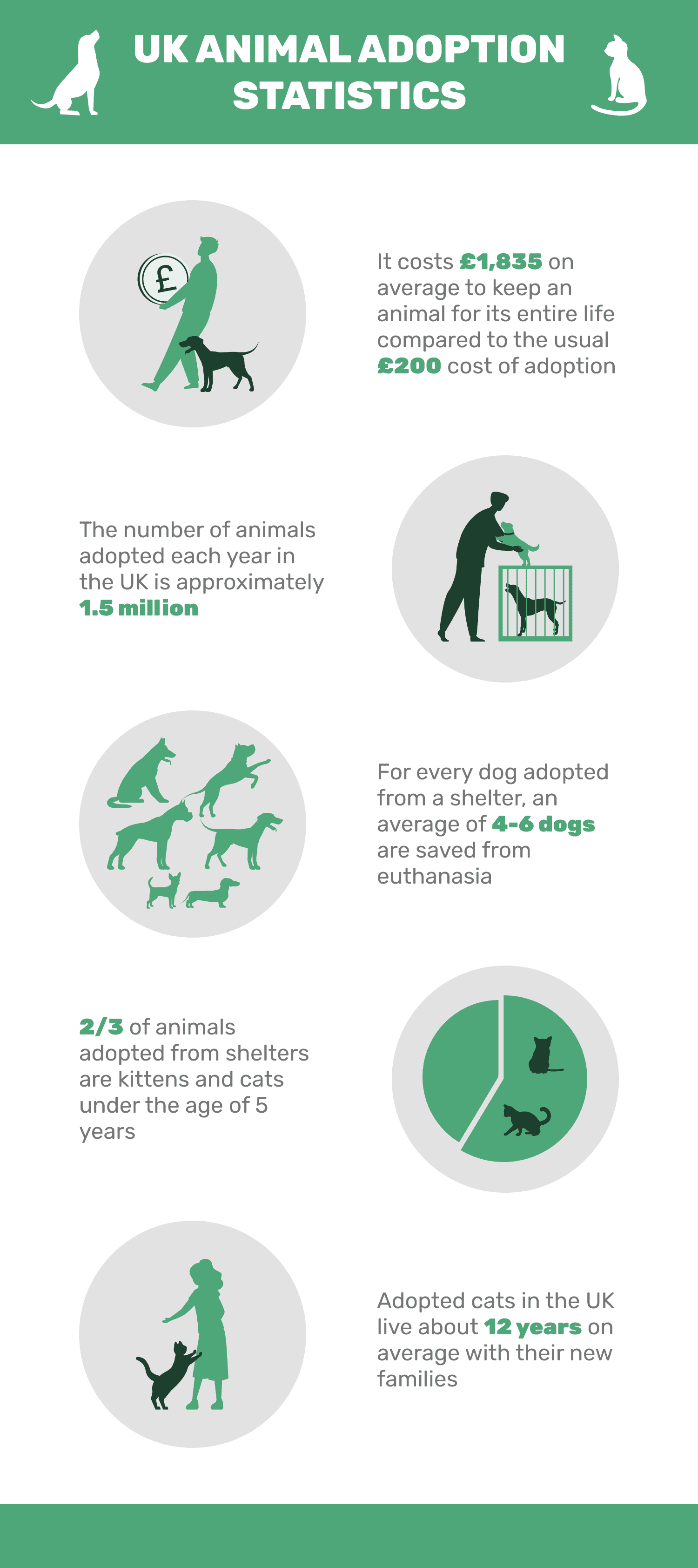 10 UK Pet Adoption Statistics & Facts to Know in 2023 | Pet Keen