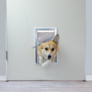BarksBar Plastic Dog Door 300x300 