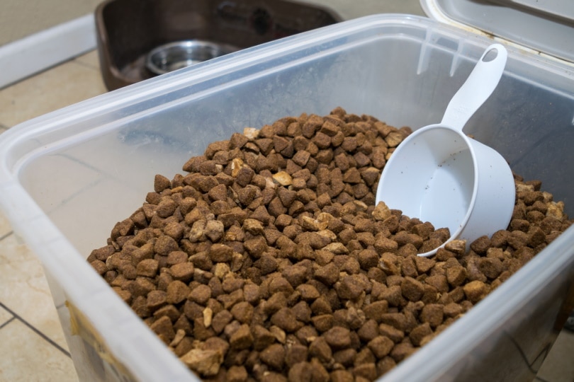 Dog food in a container with scoop