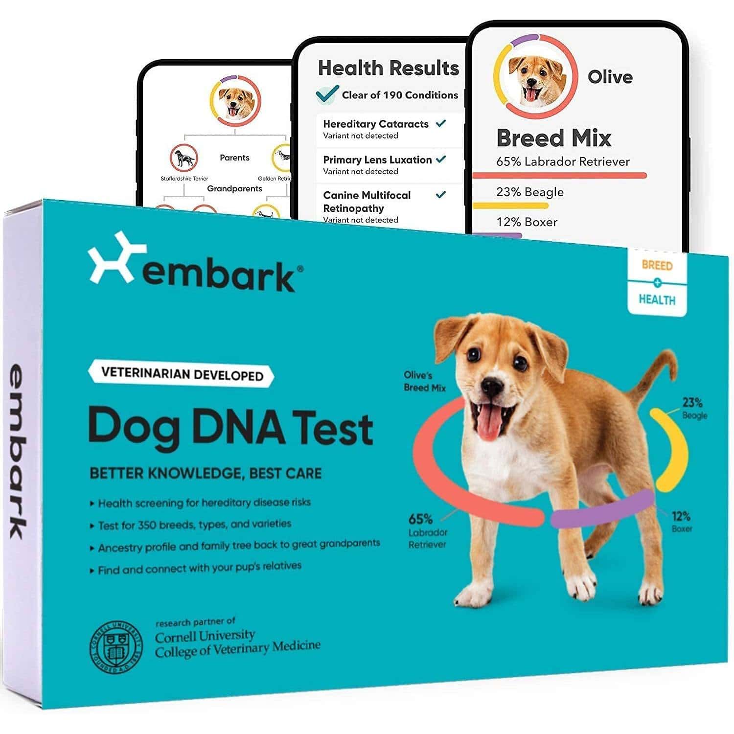 Embark Breed Identification & Health Condition Identification DNA Test for Dogs (1)