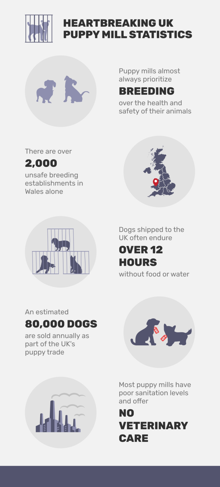 10 Heartbreaking UK Puppy Mill Statistics & Facts 2024 Update Pet Keen