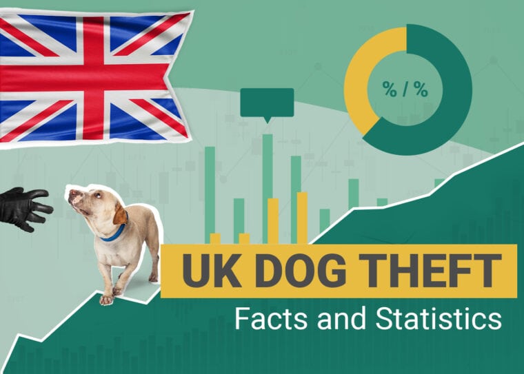 Dognapping Statistics UK