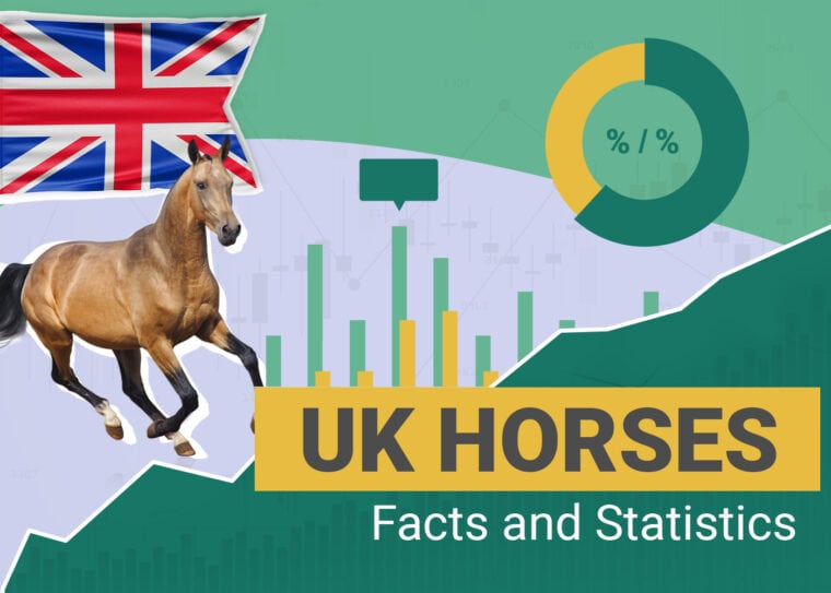 UK Horses Facts and Statistics