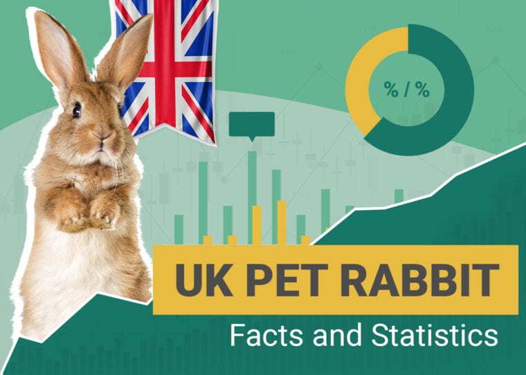 Pet Rabbit Statistics UK