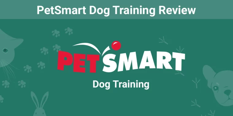 PetSmart Dog Training - Featured Image