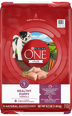 Purina ONE SmartBlend Healthy Puppy Formula Dry Dog Food
