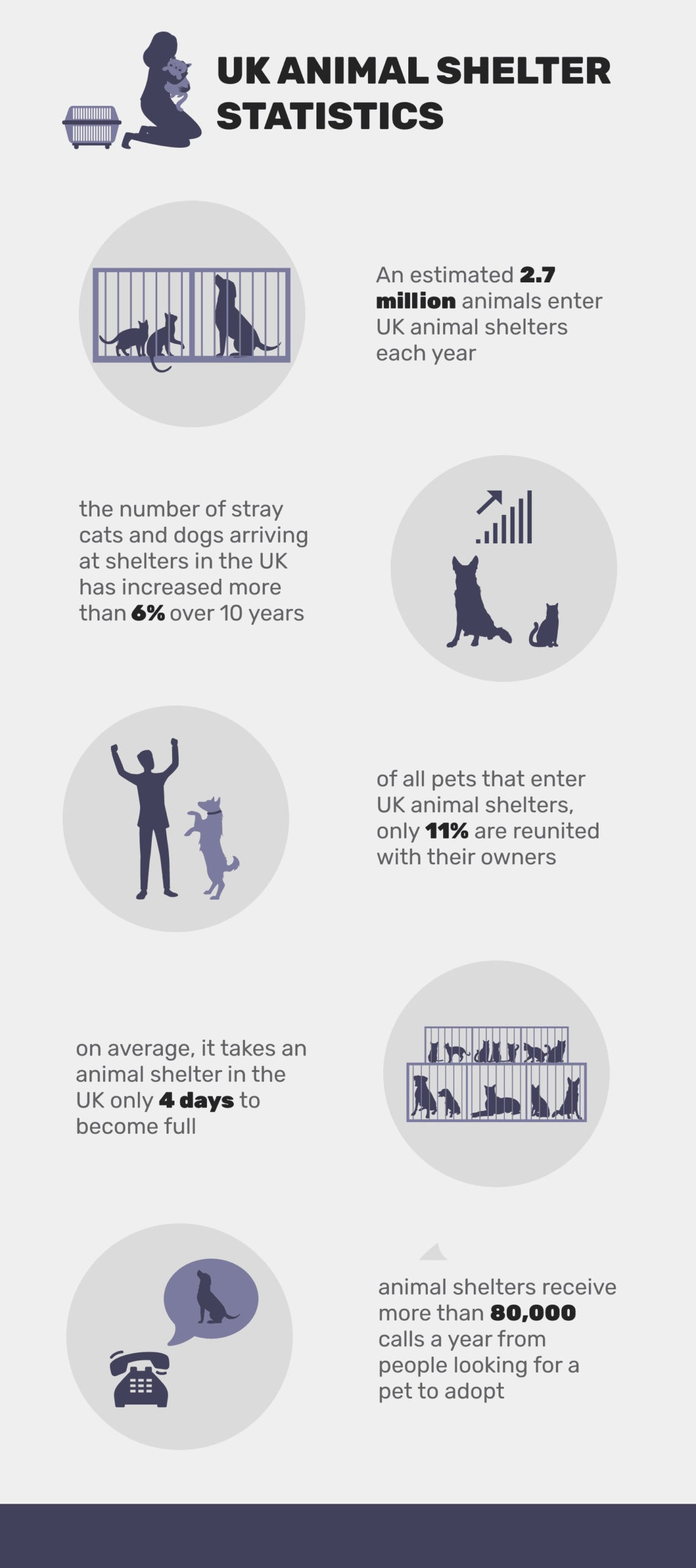 what percentage of dogs are in shelters