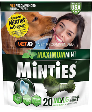 VetIQ Minties Medium Large Dental Dog Treats