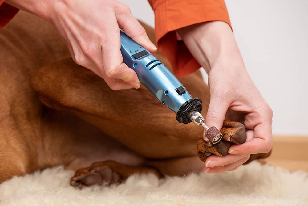 WAHL Ultimate Corded Pet Nail Grinder  Chewycom