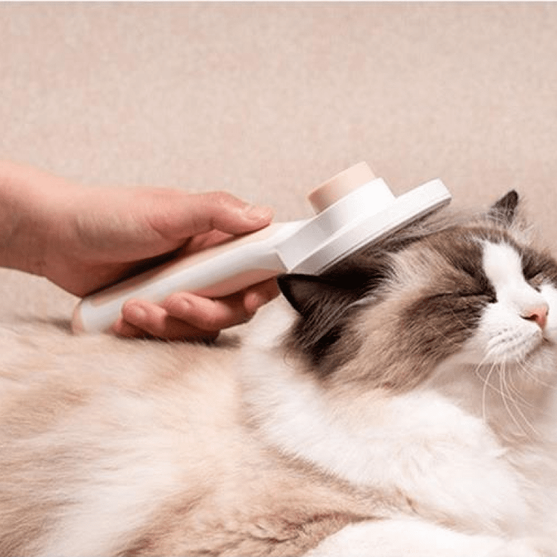 11 Best Brushes for Long Haired Cats in 2023 - Reviews & Top Picks | Pet  Keen