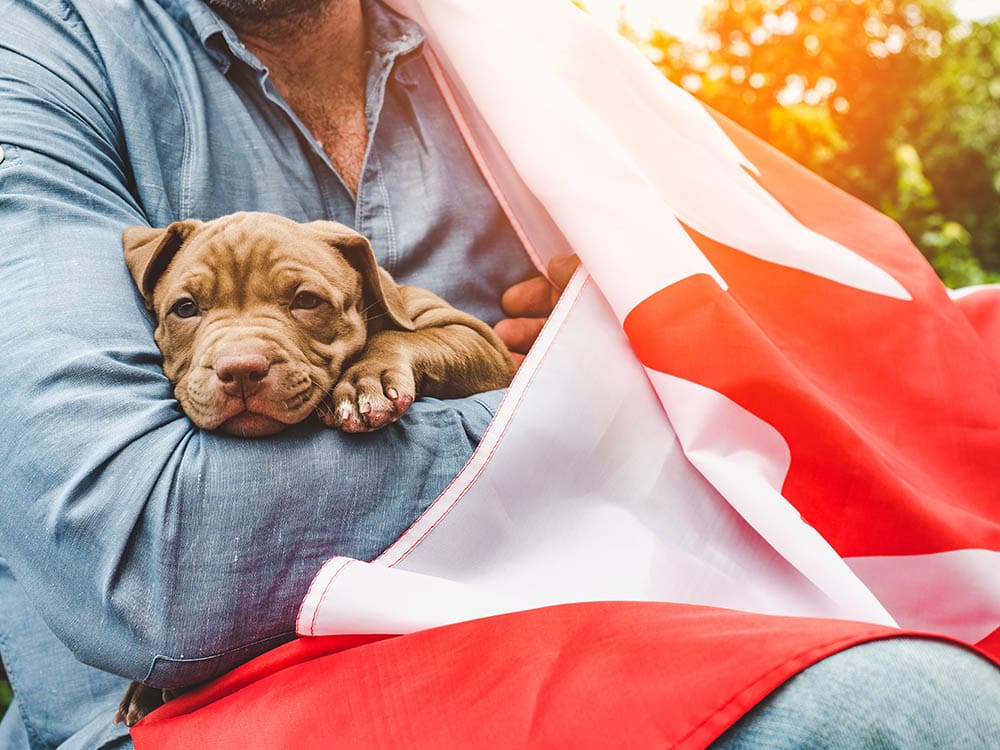कनाडा के झंडे वाला कुत्ता पकड़े हुए आदमी