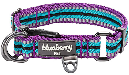 Blueberry Pet Reflective Dog Collar