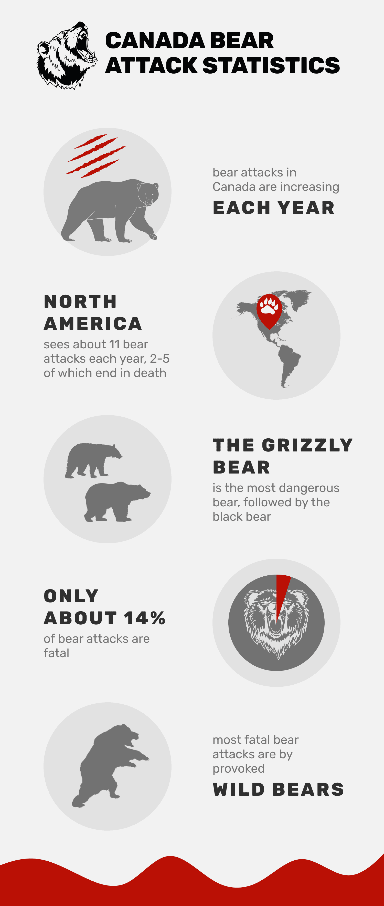 12 Canada Bear Attack Statistics & Facts to Know in 2023: How Many Attacks  Happen Every Year? | Pet Keen