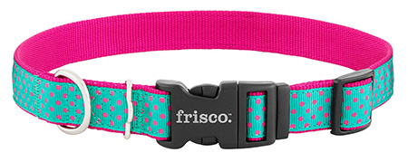 Frisco Patterned Nylon Dog Collar