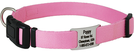 GoTags Adjustable Nameplate Personalized Dog Collar
