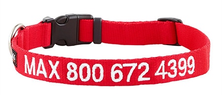 GoTags Nylon Personalized Dog Collar