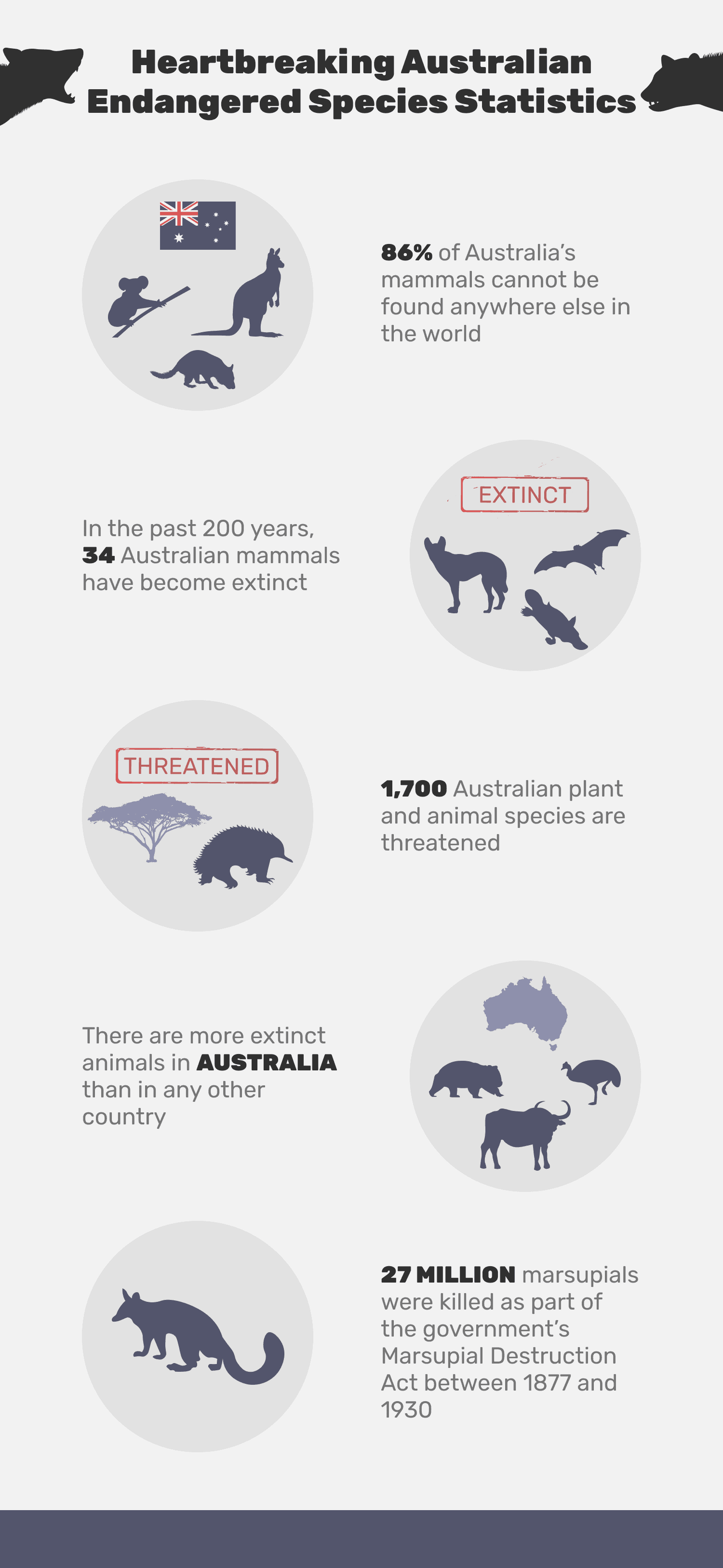10 Heartbreaking Australian Endangered Species Statistics To Know In 2023 |  Pet Keen