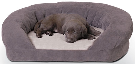 K&H Pet Products Orthopedic Bolster Dog Bed