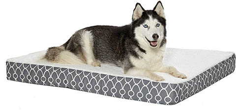 MidWest Double-Thick Orthopedic Dog Bed w: Removable Cover