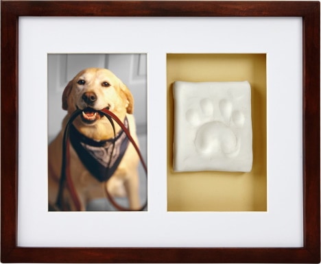 Pearhead Pawprints Dog & Cat Wall Frame