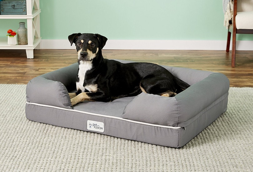 10 Best Dog Beds for Chewers in 2022 - Reviews & Top ...
