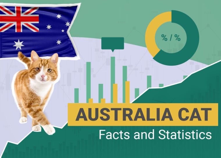 Australia Cat Facts and Statistics