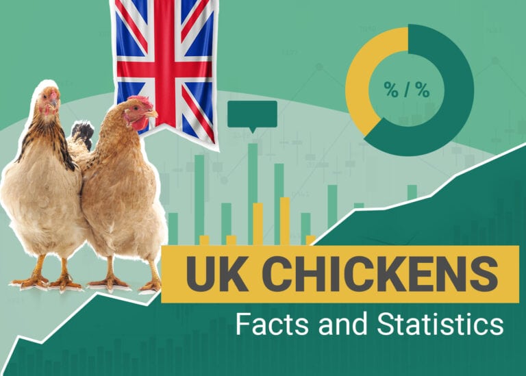 PetKeen How Many Chickens Statistics UK V1 Nov 17 2023 768x549 