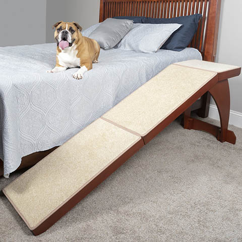 10 Best Dog Ramps for Beds in 2023 - Reviews & Top Picks | Pet Keen