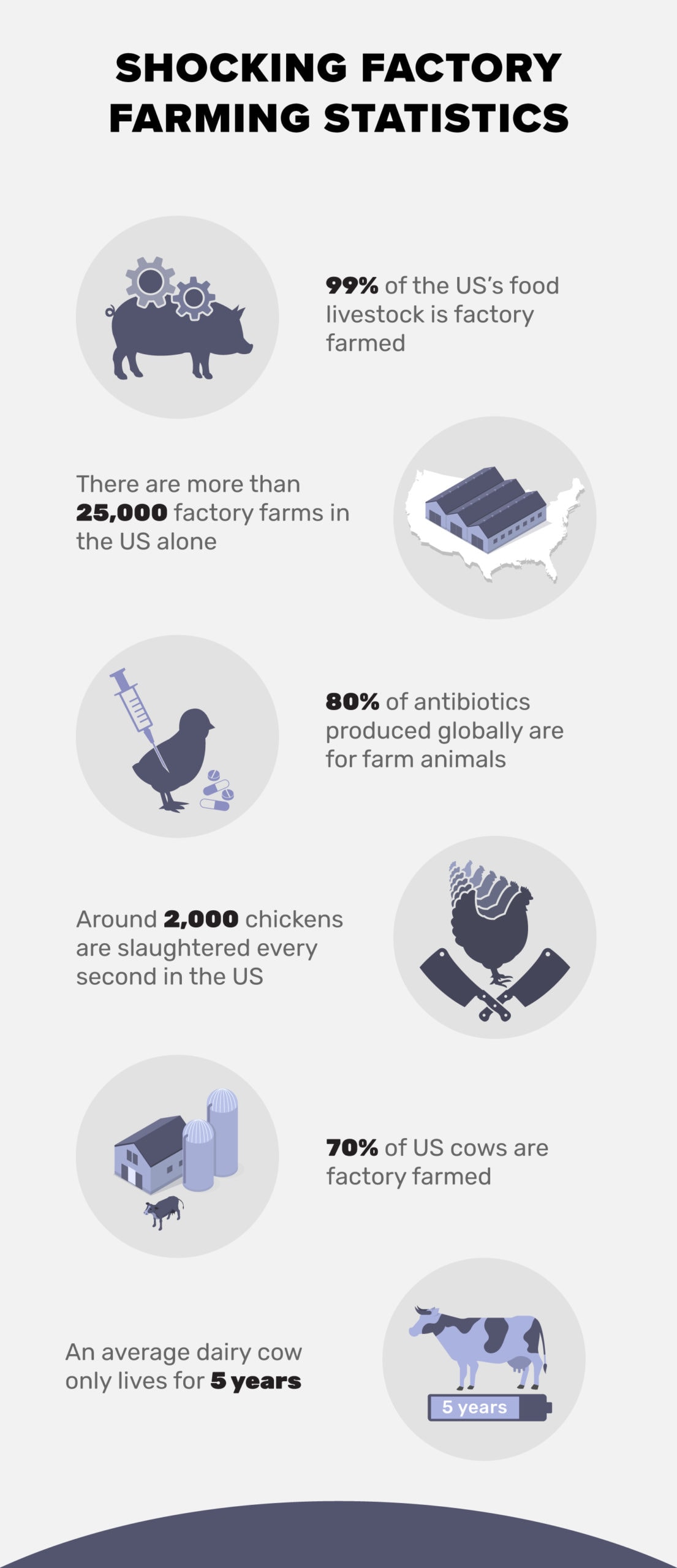 14 Disheartening Factory Farming Statistics & Facts to Know in 2023 | Pet  Keen