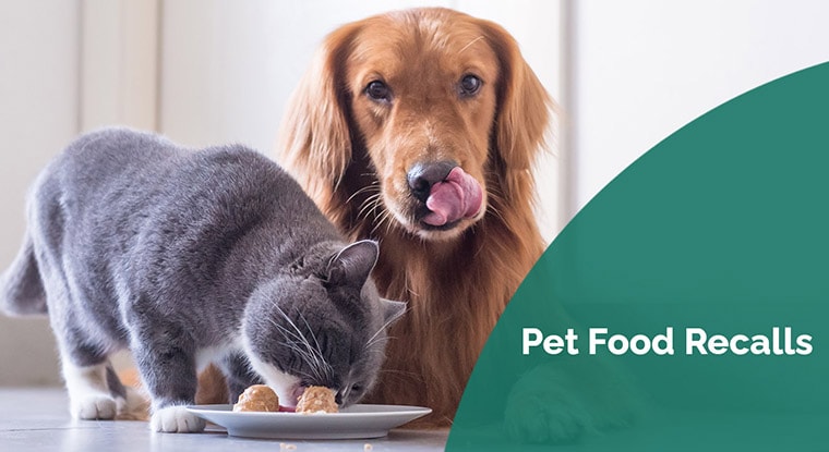 pet food recalls PK