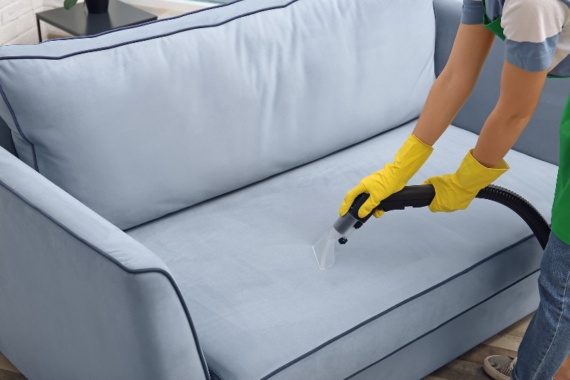 woman cleaning couch with vacuum cleaner at home