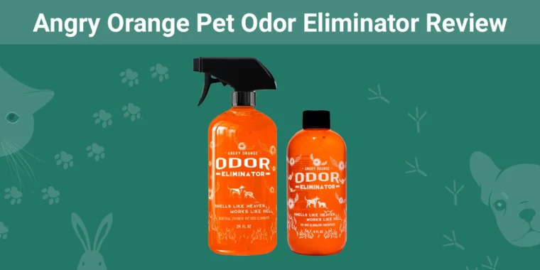 Angry Orange Pet Odor Eliminator Review - Featured Image